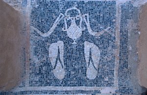 Mosaico de los baños termales de Unknown